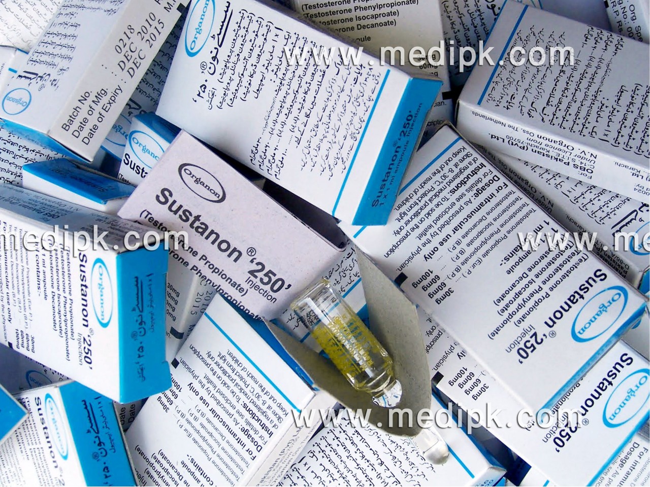 Sustanon 250 mg by organon pakistan 1ml / Amp